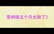 雪纳瑞五个月太胖了