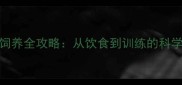 边牧幼犬饲养全攻略从饮食到训练的科学管理指南