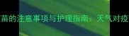 狗狗阴天打疫苗的注意事项与护理指南天气对疫苗效果的影响
