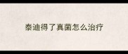 泰迪得了真菌怎么治疗