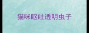 猫咪呕吐透明虫子