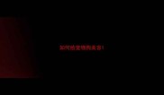 如何给宠物狗美容