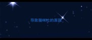 导致猫咪吐的原因