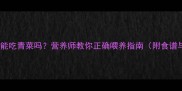 拉布拉多能吃青菜吗营养师教你正确喂养指南附食谱与禁忌