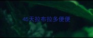 45天拉布拉多便便