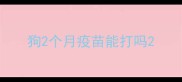 狗2个月疫苗能打吗