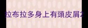 拉布拉多身上有頭皮屑