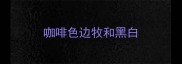 咖啡色边牧和黑白