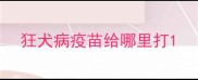 狂犬病疫苗给哪里打