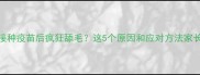 猫咪接种疫苗后疯狂舔毛这5个原因和应对方法家长必看