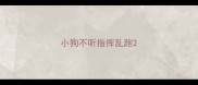 小狗不听指挥乱跑