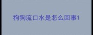 狗狗流口水是怎么回事