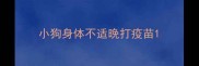 小狗身体不适晚打疫苗