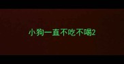小狗一直不吃不喝