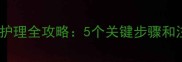 猫咪打疫苗后护理全攻略5个关键步骤和注意事项大全