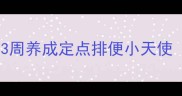 幼犬如厕训练全攻略3周养成定点排便小天使附错误行为纠正指南