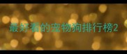 最好看的宠物狗排行榜