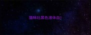 猫咪吐黑色液体血