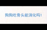 狗狗吃骨头能消化吗