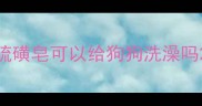 硫磺皂可以给狗狗洗澡吗