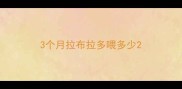3个月拉布拉多喂多少