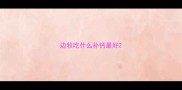 边牧吃什么补钙最好