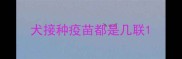 犬接种疫苗都是几联