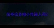 拉布拉多细小传染人吗