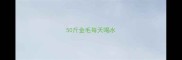 50斤金毛每天喝水