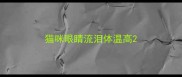 猫咪眼睛流泪体温高