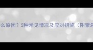 狗狗吐白沫什么原因5种常见情况及应对措施附紧急处理指南