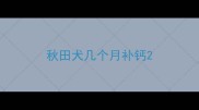 秋田犬几个月补钙