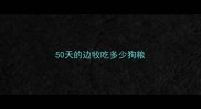 50天的边牧吃多少狗粮