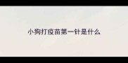 小狗打疫苗第一针是什么
