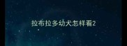 拉布拉多幼犬怎样看
