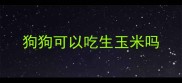 狗狗可以吃生玉米吗