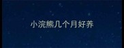 小浣熊几个月好养