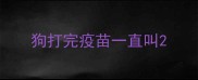 狗打完疫苗一直叫