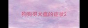 狗狗得犬瘟的症状