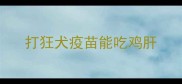 打狂犬疫苗能吃鸡肝