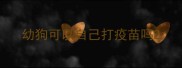 幼狗可以自己打疫苗吗