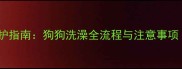 宠物医院专业洗护指南狗狗洗澡全流程与注意事项附服务推荐