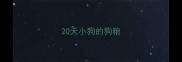 20天小狗的狗粮