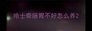 哈士奇肠胃不好怎么养