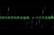 龙猫成年时间与科学饲养全指南6-12个月关键期养护要点