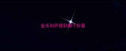 金毛和萨摩耶哪个好看