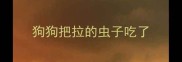 狗狗把拉的虫子吃了