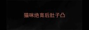猫咪绝育后肚子凸