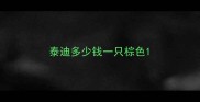 泰迪多少钱一只棕色