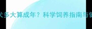 拉布拉多犬多大算成年科学饲养指南与健康标准全